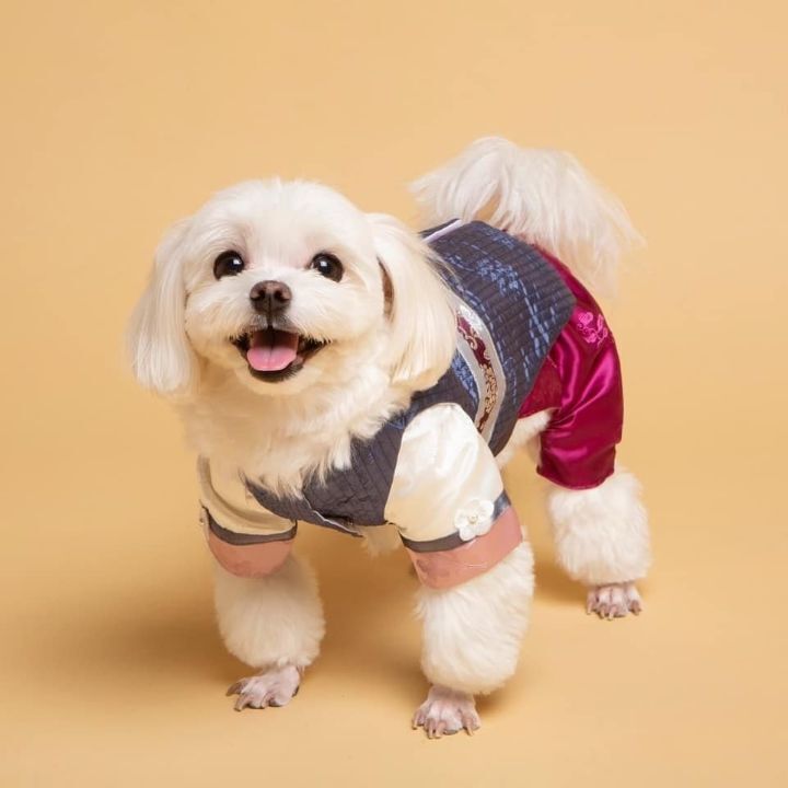 명예 택배사원 경태 프로필사진.jpg | 인스티즈