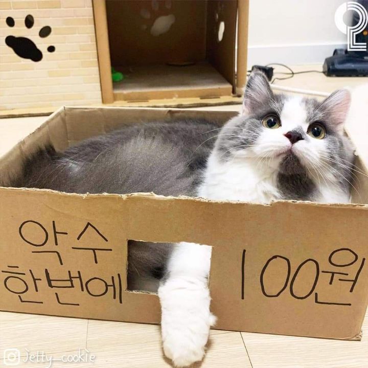 나라면 돈을 낸다 vs 안낸다.JPG | 인스티즈