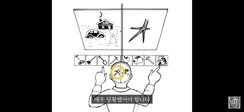 (스압)분리 뇌 실험 | 인스티즈