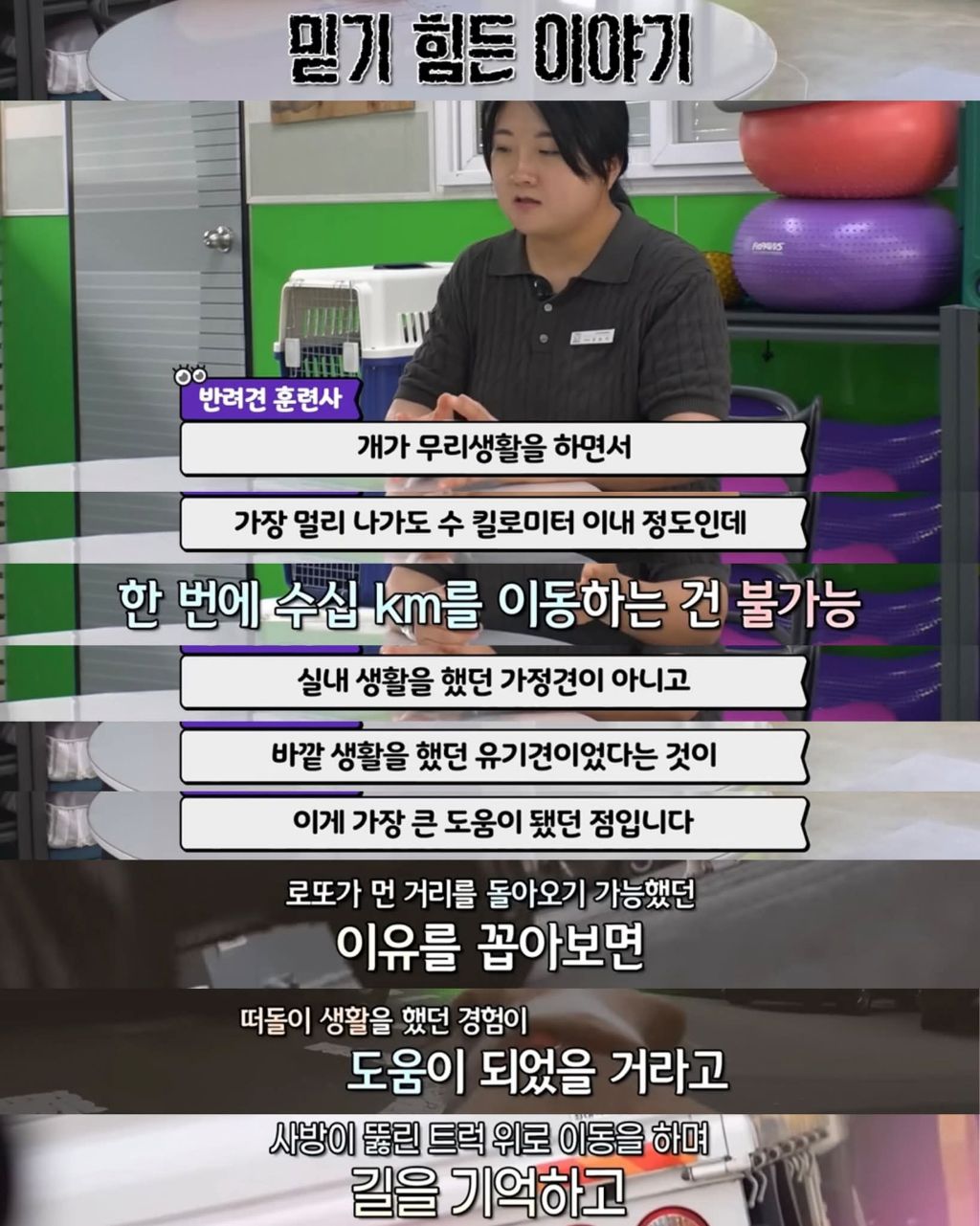 한달만에 집으로 돌아온 댕댕이 | 인스티즈