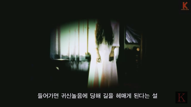 미스테리한 일본의 출입금지된 도심 한복판의 숲 | 인스티즈