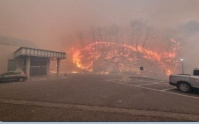 오늘 일어난 산불들 현재까지 밝혀진 원인 정리 | 인스티즈