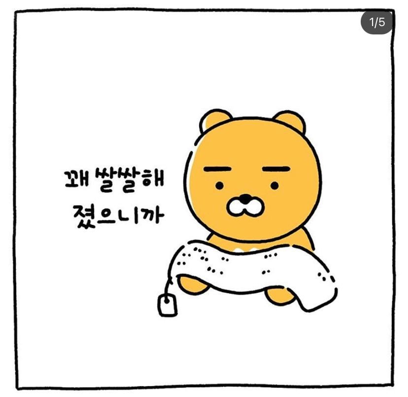 키우는 고양이가 보이지 않는다 ㅠㅠㅠㅠㅠ | 인스티즈