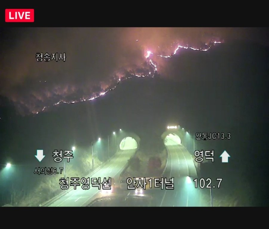 오늘 일어난 산불들 현재까지 밝혀진 원인 정리 | 인스티즈