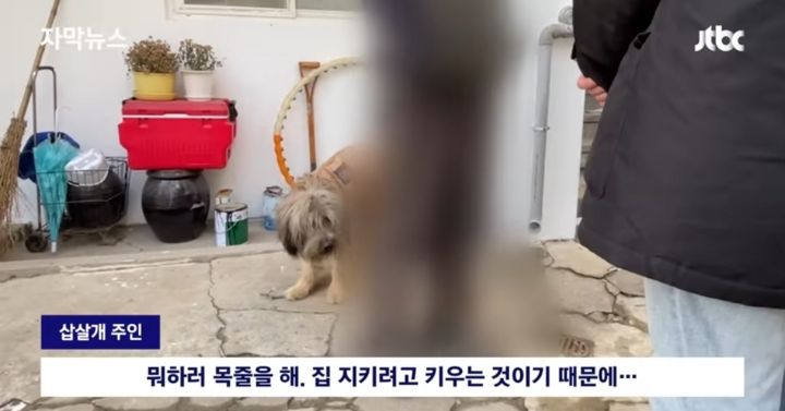 우리 개는 사람은 안물어 | 인스티즈