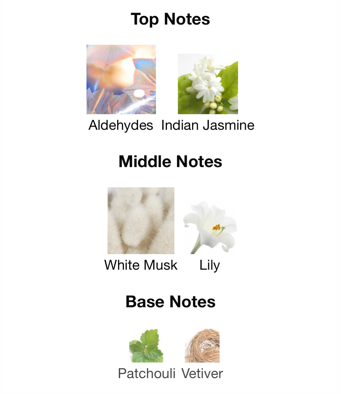 가을겨울에 쓰기 좋은 머스크 노트 향수들.jpg | 인스티즈