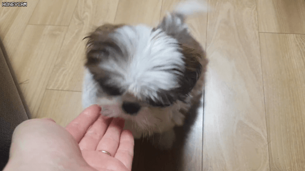 ed4534ec79afcbf30315dfc210e6ccc5dcaf475c