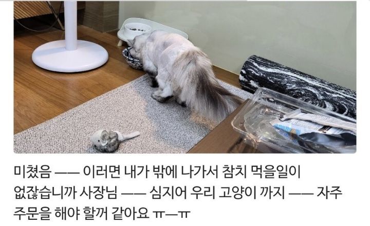 어떤 참치 가게 사장님의 마케팅.JPG | 인스티즈