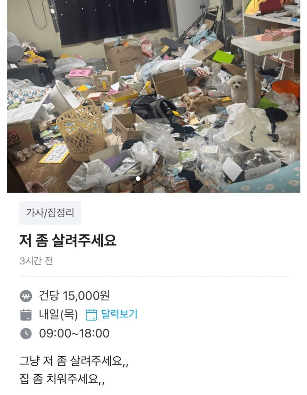 당근마켓 청소알바 | 인스티즈