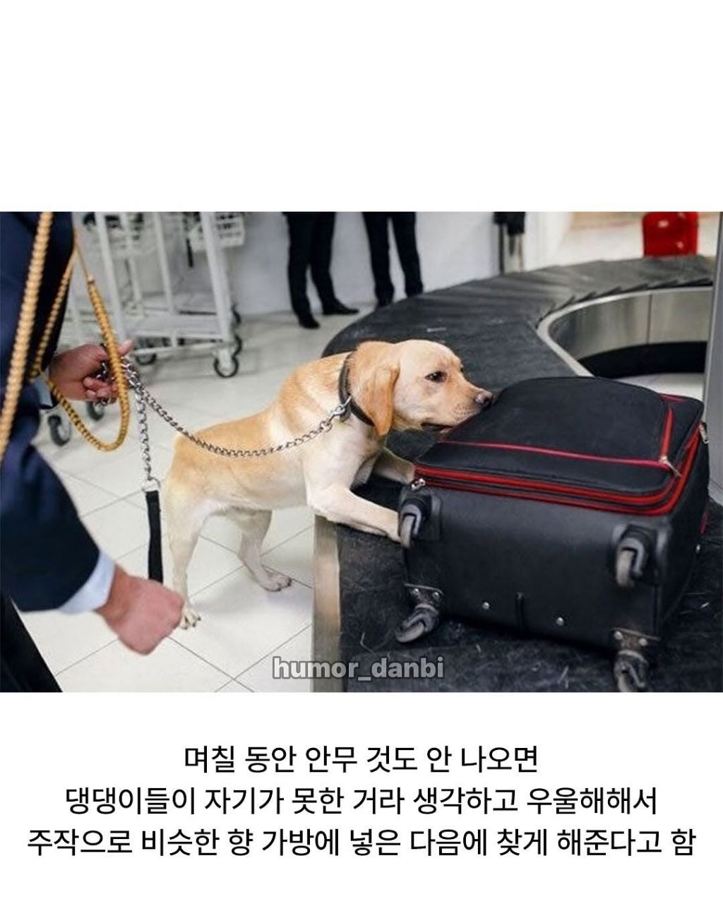 의외로 사내복지 철저한곳 | 인스티즈