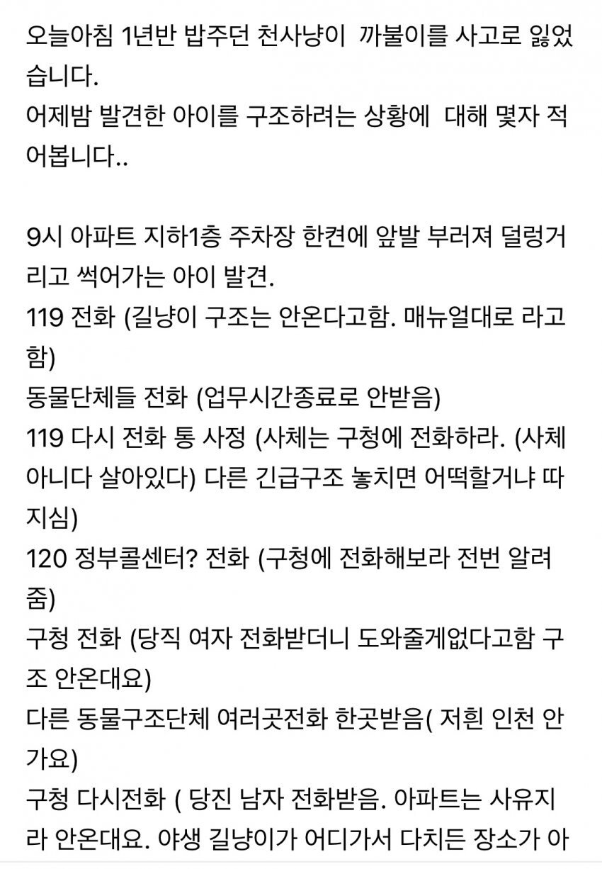 119 구조대가 안도와줘서 서글픈 캣맘 | 인스티즈