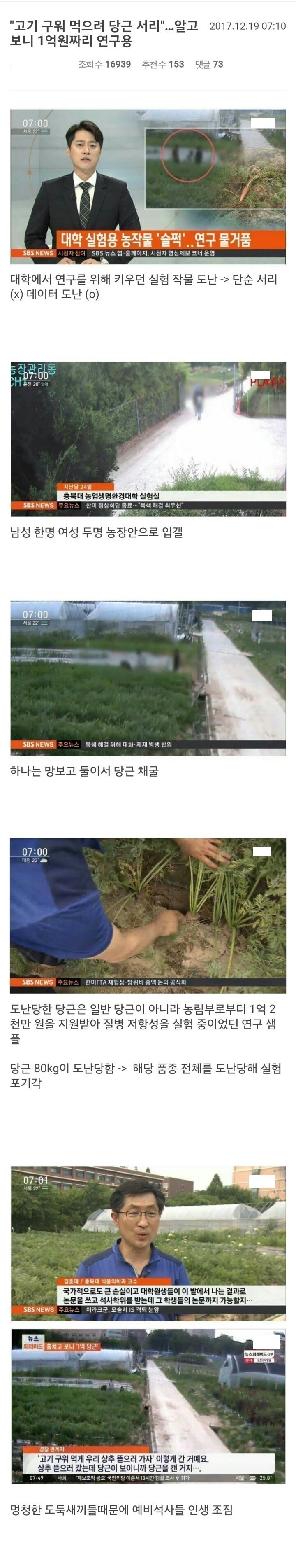 고기구워먹으려 당근서리했는데 알고보니 1억원짜리 연구용 | 인스티즈