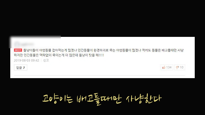 [사진100장스압] 고양이가 자연생태계에 끼치는 심각한 영향 | 인스티즈