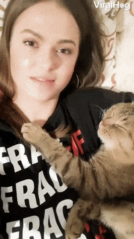 뽀뽀에 반응 하는 고양이 .gif | 인스티즈