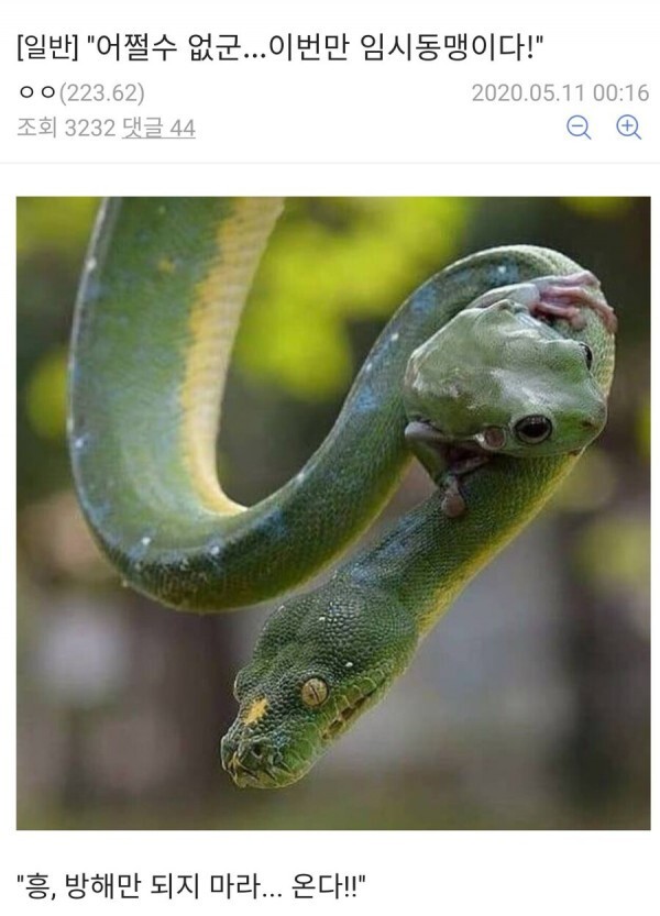 애니메이션 좀 봤다하면 아는 클리셰 | 인스티즈