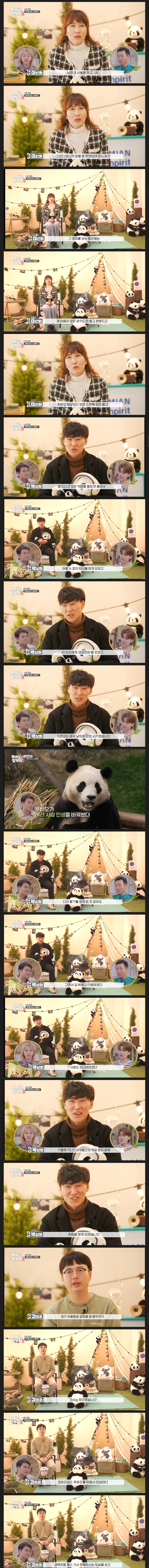 푸바오에 몰입하게 된 사연들 | 인스티즈