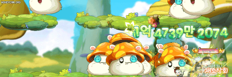 메이플스토리 데미지 스킨 모음 | 인스티즈