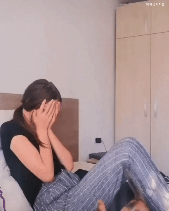 집사를 위로하는 고양이 ｜ GIF | 인스티즈