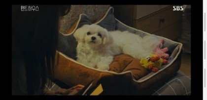 펜트하우스 설탕이.jpgif | 인스티즈