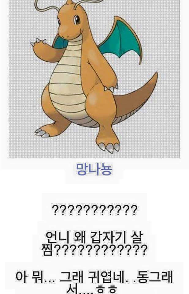 진화하면 역변하는 포켓몬들 | 인스티즈