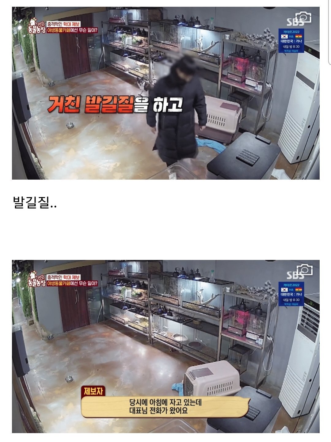 현재 난리난 동물농장에 나온 동물카페 사장.jpg | 인스티즈