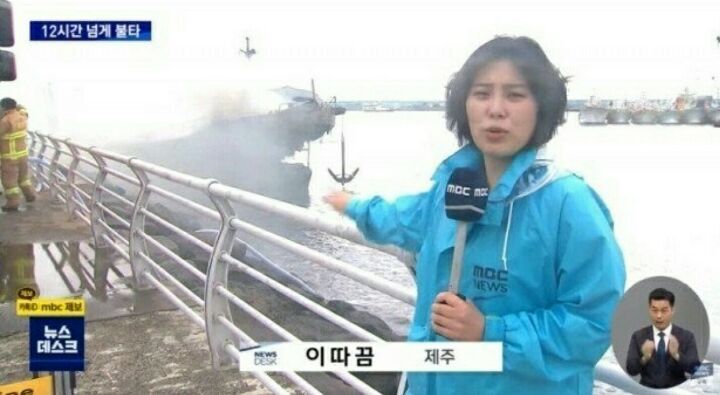 제주에서 이따끔 보이는 기자 | 인스티즈