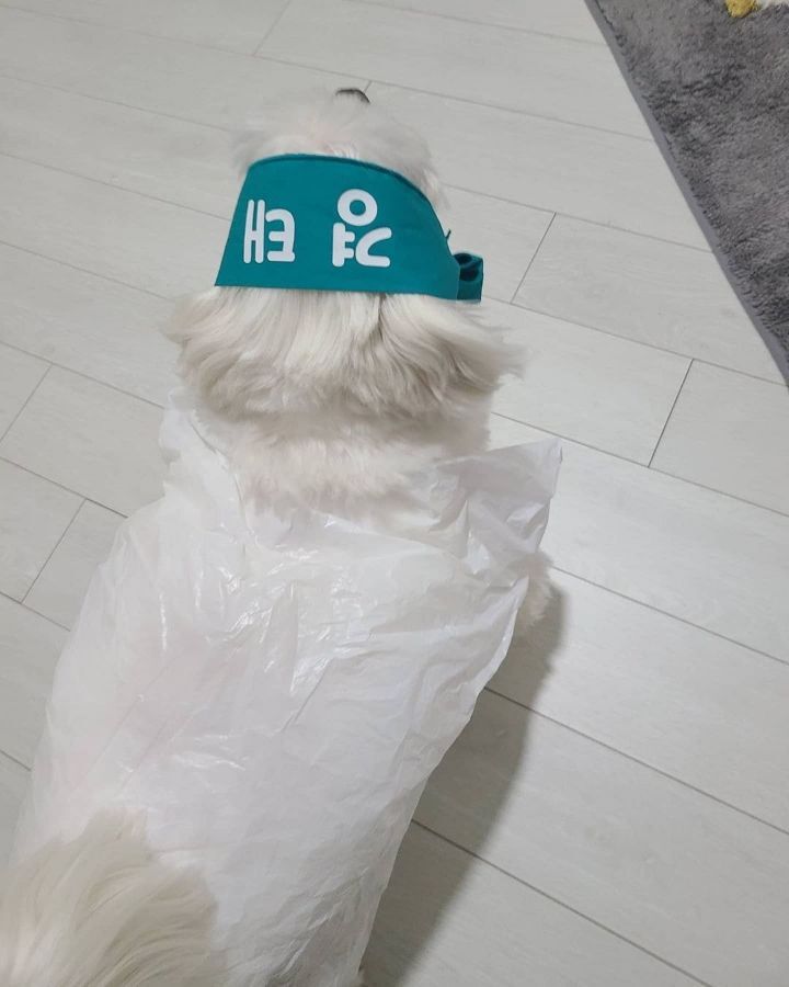 경태 인스타 업로드 | 인스티즈