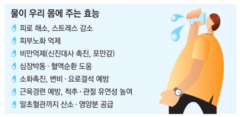 은근 사람들이 많이 지키지 않는 것.jpg | 인스티즈