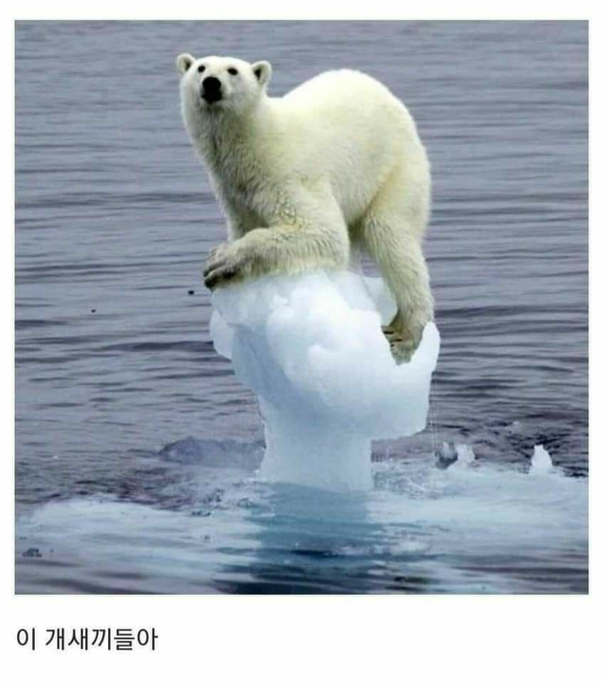 세상이 아직 따뜻하다는 증거.jpg | 인스티즈
