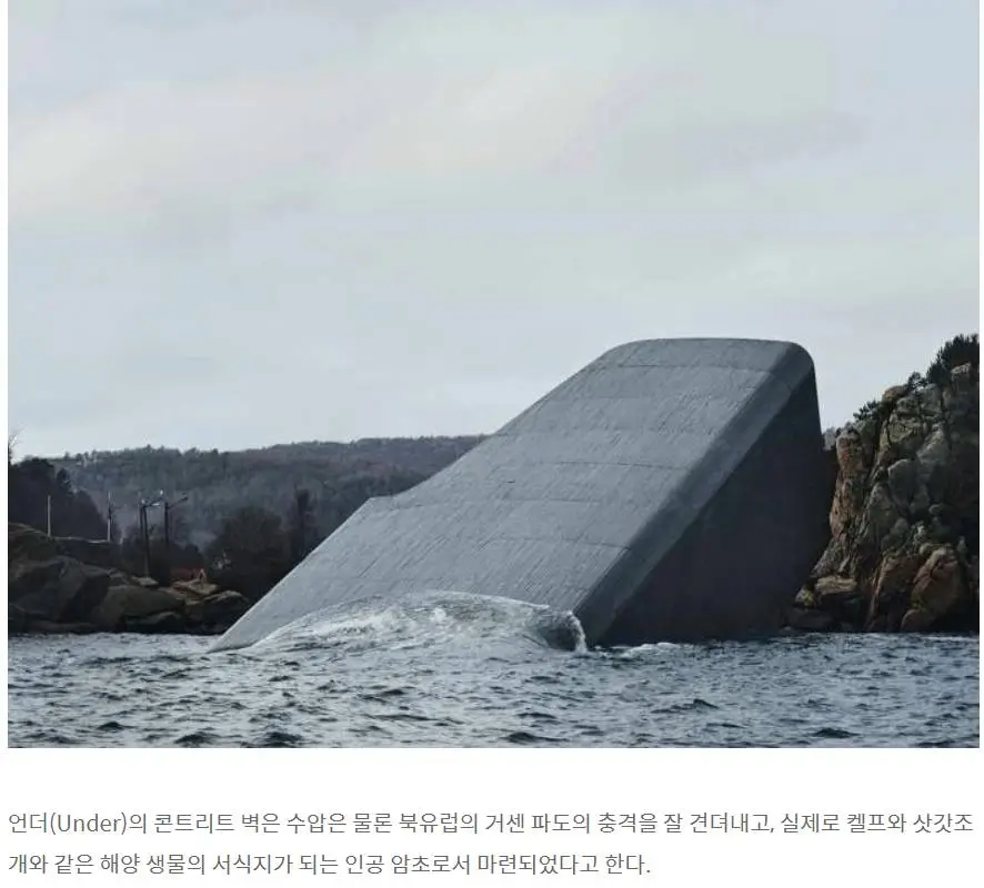노르웨이 갬성 식당 | 인스티즈