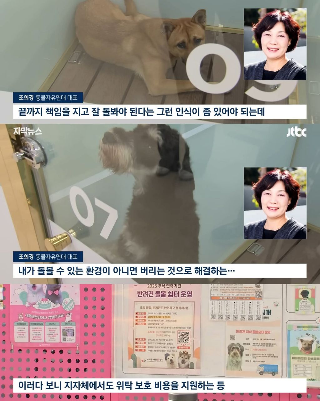 연휴때 더 많이 버려진다는 동물들 | 인스티즈