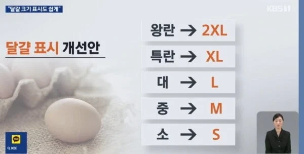 달걀 크기 표시 개선안 .jpg | 인스티즈