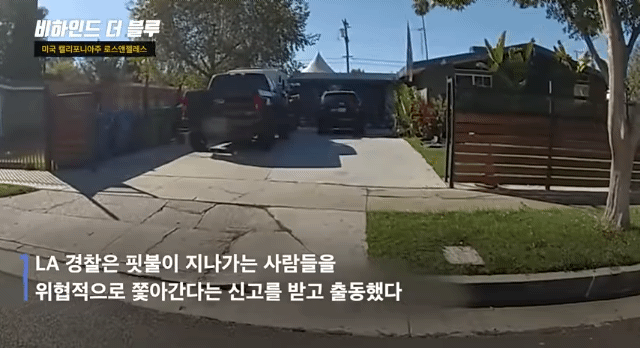 핏불이 사람 위협..빈백 샷건 갈겨버린 미국 경찰 | 인스티즈