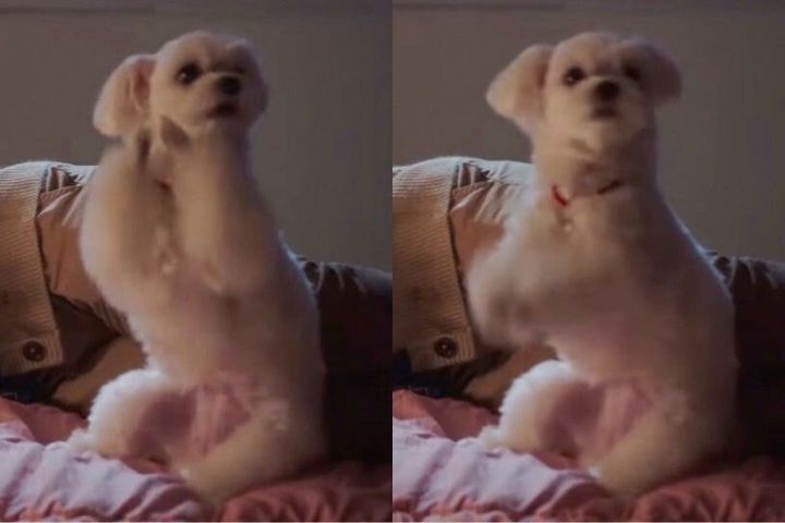 펜트하우스 설탕이.jpgif | 인스티즈