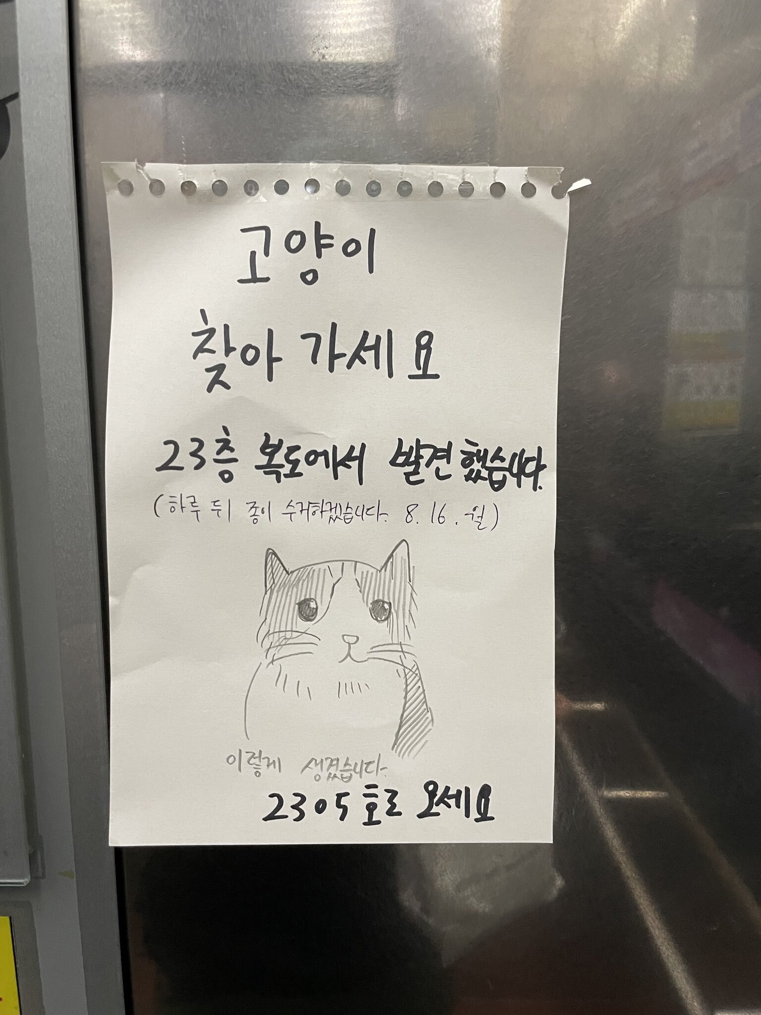 네 고양이는 우리가 데리고 있다 | 인스티즈