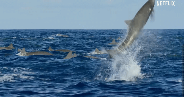 스포) 우영우 전개 이제 무서워질 이유 | 인스티즈
