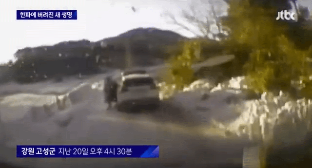 한파에 버려진 갓난아기 | 인스티즈