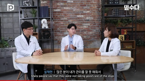 국내 소형견이 유독 슬개골 탈구가 많은 이유 | 인스티즈