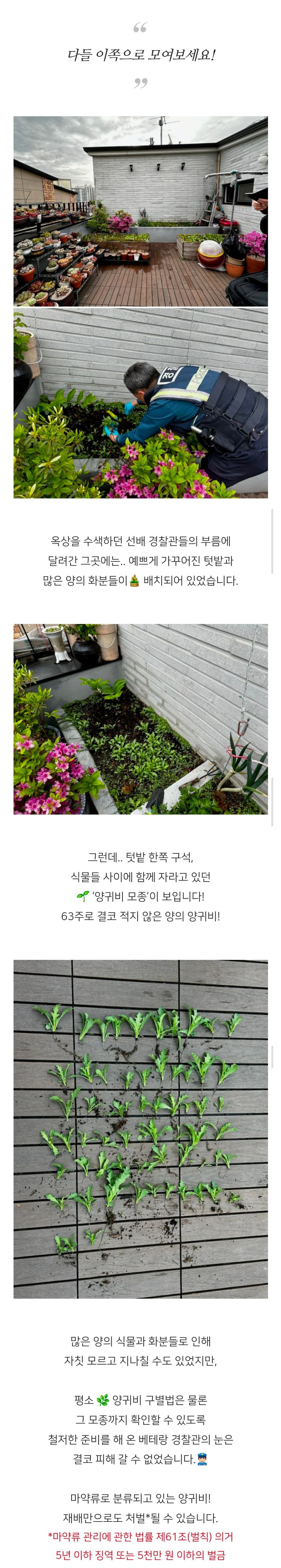 집에서 보라색 조명을 쓴다면? | 인스티즈