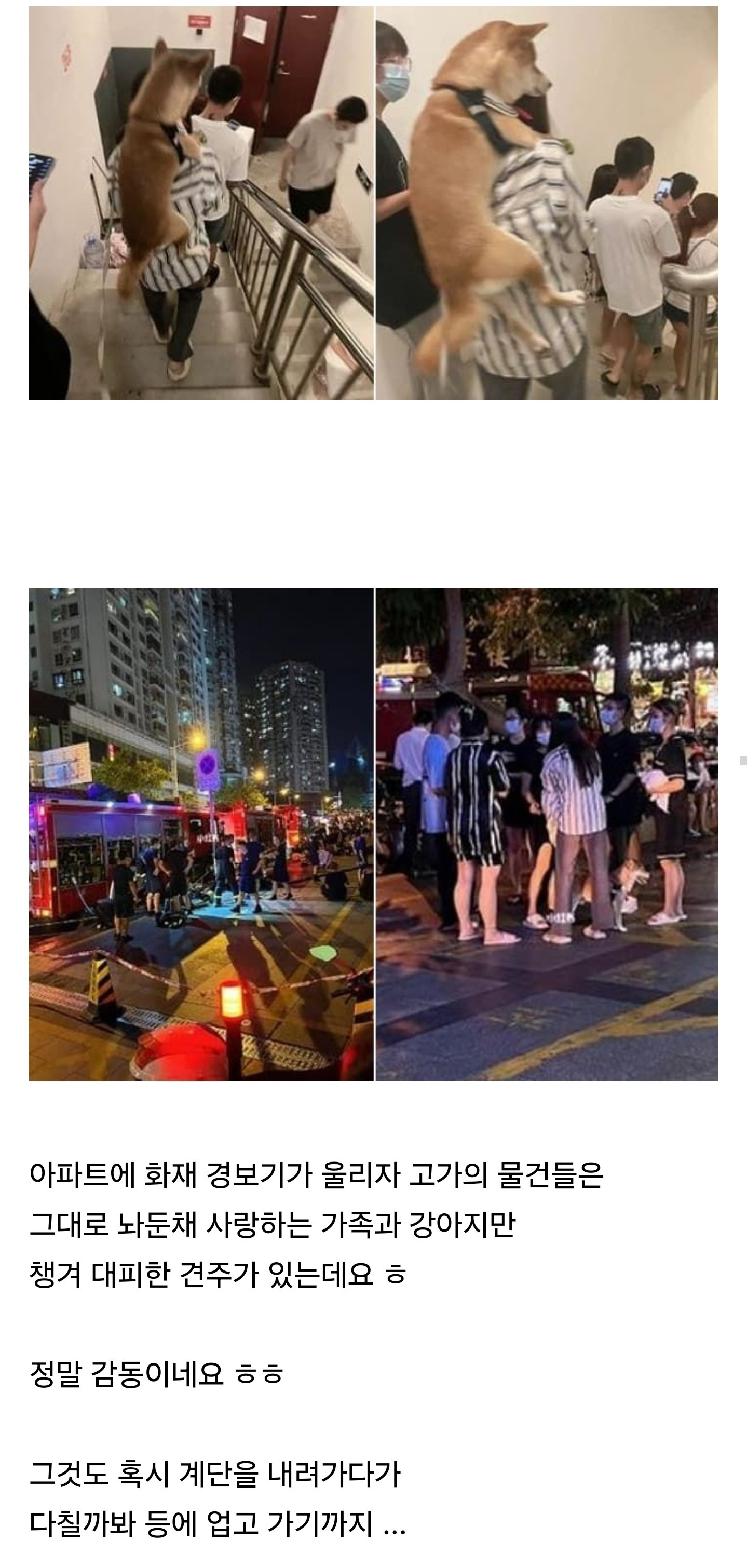 화재경보기 울리자 개만 들쳐업고 나옴 | 인스티즈