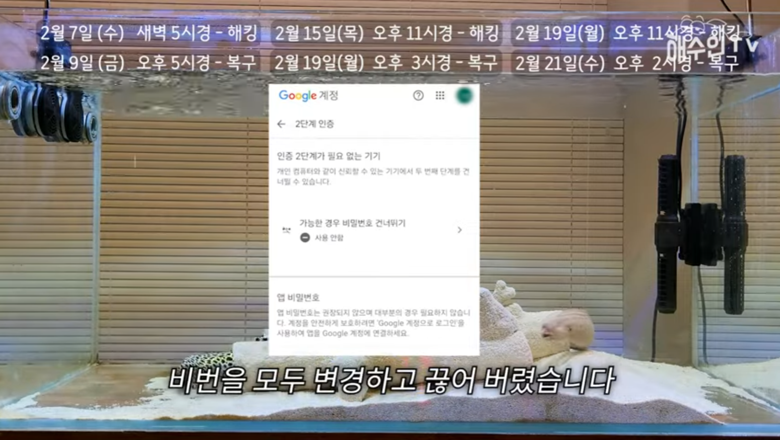 유튜브 계정이 3번이나 해킹 당한 이유 | 인스티즈