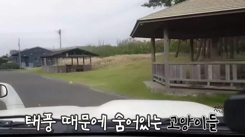 [스압주의] 일본인 캣맘 유튜버 2편 - 3천만원짜리 고양이 집 지음 | 인스티즈