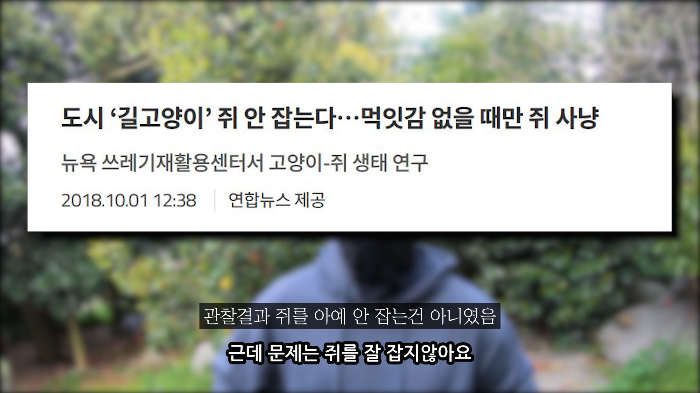 [사진100장스압] 고양이가 자연생태계에 끼치는 심각한 영향 | 인스티즈