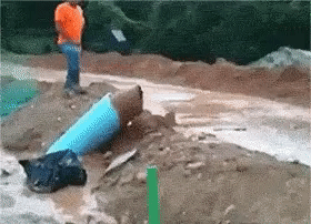 변비 환자가 보면 지리는 짤.gif | 인스티즈