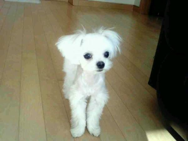 f1be83ef44198de571016e06e6039f1c7d2f2ade