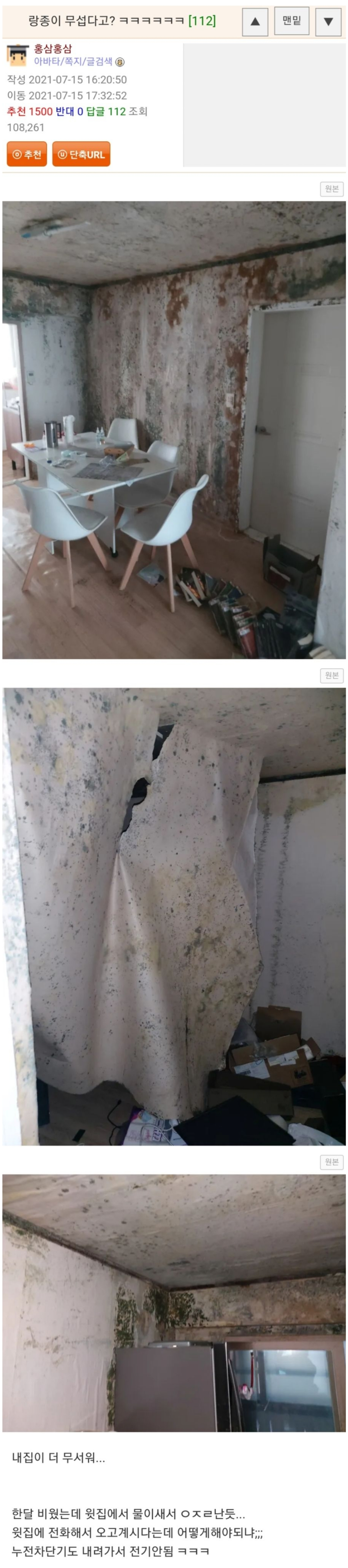 랑종이 무섭다고? ㅋㅋㅋㅋㅋㅋ | 인스티즈