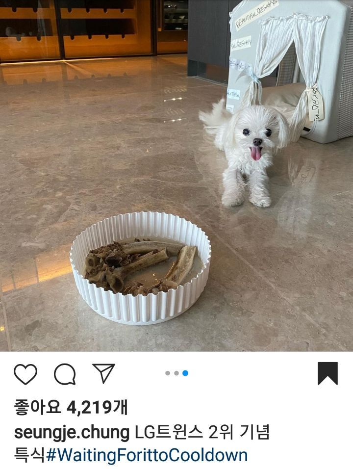 f239d40ffc7b2dce5039c5cbef0154bdd7489bf8