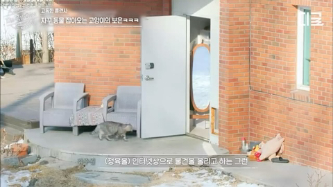 개랑 고양이 같이 키우는 집에서 방송하다 사고나서 깜짝 놀란 강형욱 | 인스티즈