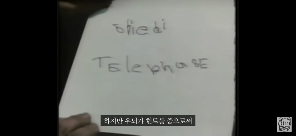 (스압)분리 뇌 실험 | 인스티즈