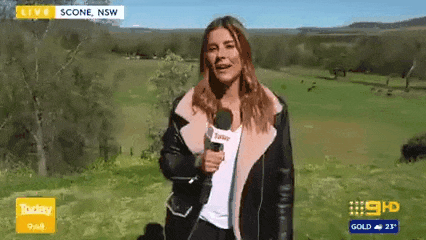 뉴스하는데 어슬렁거리는 배우 | 인스티즈